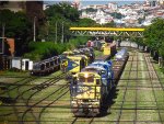 MRSL 3648